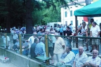 Clicca sulla foto per vedere ingrandimento
